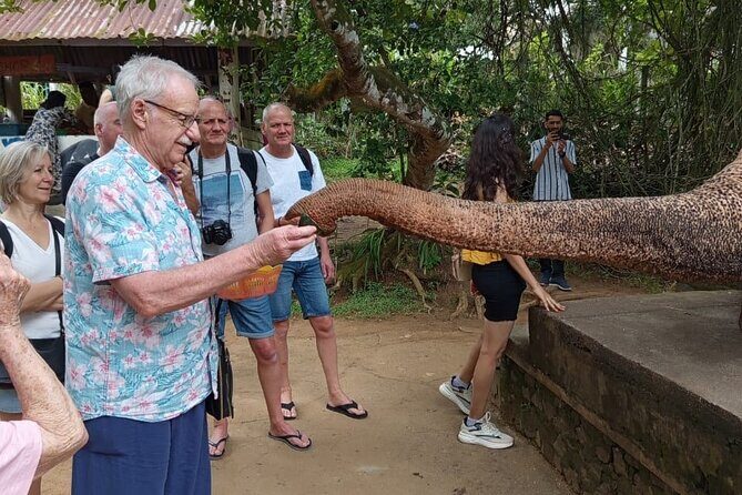 From Colombo: Kandy and Pinnawala Full-Day Trip - The Royal Botanical Gardens