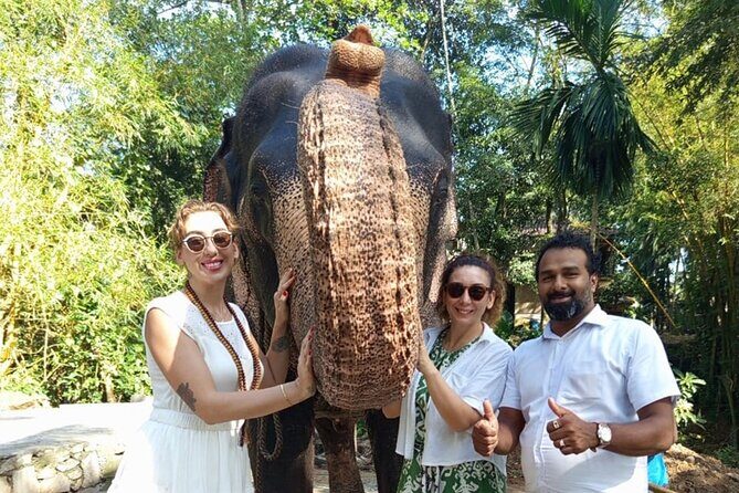 From Colombo: Kandy and Pinnawala Full-Day Trip - Good To Know