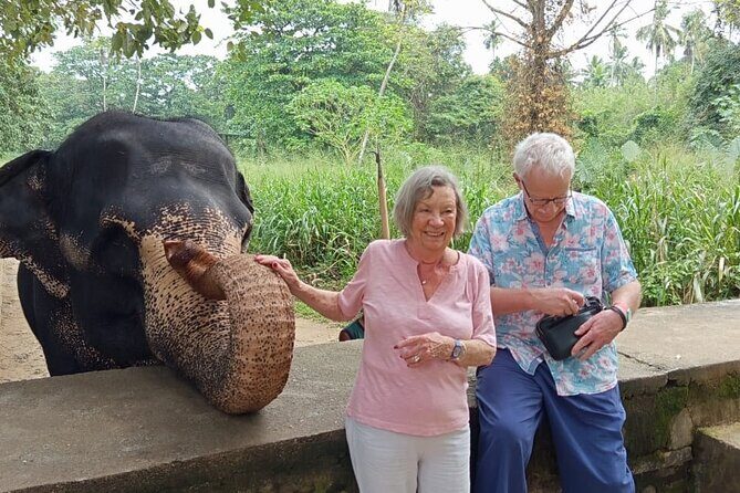 From Colombo: Kandy and Pinnawala Full-Day Trip - Tips to Maximize Your Experience