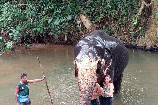 From Colombo: Kandy and Pinnawala Full-Day Trip - Final Thoughts