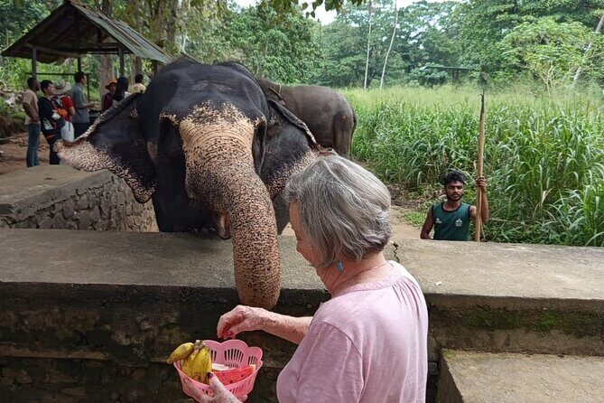 From Colombo: Kandy and Pinnawala Full-Day Trip - FAQ