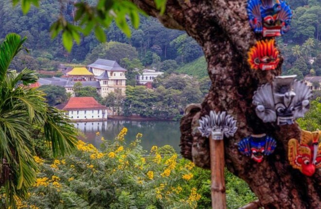 From Colombo: Kandy and Pinnawala Full-Day Trip - Tea Factory Tour: Learn About Tea Production