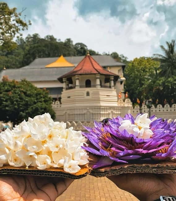 From Colombo: Kandy and Pinnawala Orphanage Short Excursions - Lunch Break