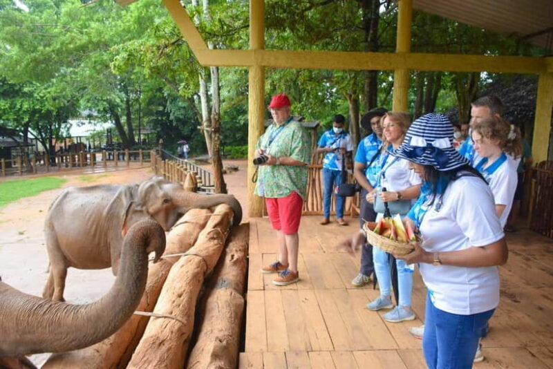 From Colombo: Kandy and Pinnawala Orphanage Short Excursions - Who Should Book This Tour?  