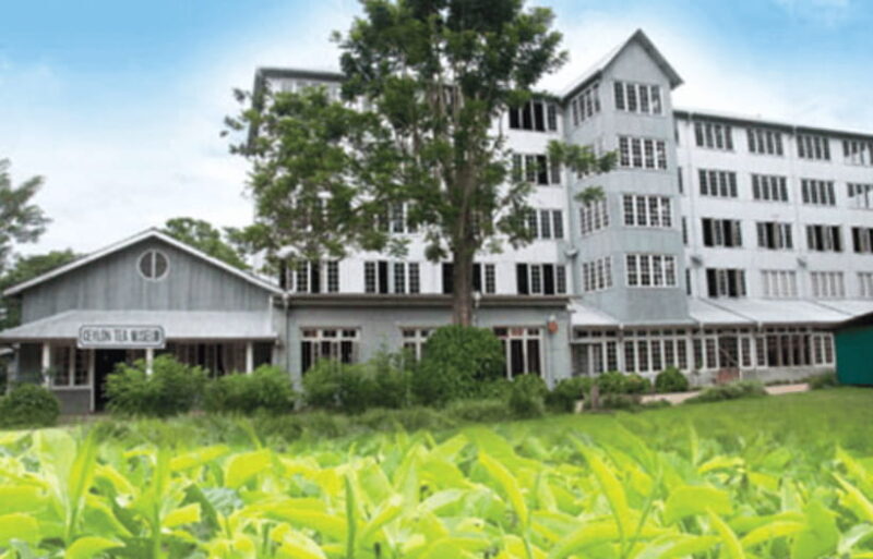 From Colombo: Kandy and Tea Plantations Day Trip - Practical Details and Value