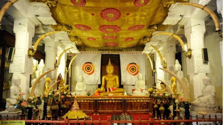 From Colombo: Kandy, Pinnawala and Tea Factory Full-Day Trip - Booking Information