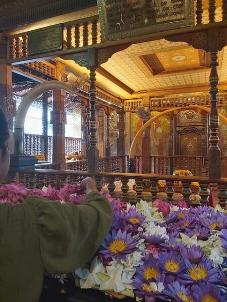 From Colombo: Kandy, Pinnawala and Tea Factory Full-Day Trip - Inclusions and Exclusions