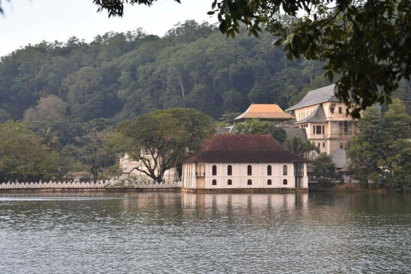 From Colombo: Kandy, Pinnawala and Tea Factory Full-Day Trip - FAQs