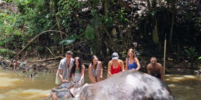 From Colombo: Kandy, Pinnawala and Tea Factory Full-Day Trip - The Sum Up