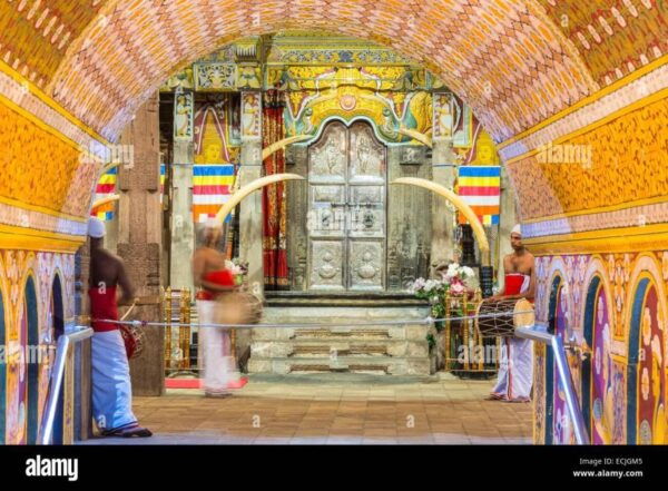 From Colombo: Kandy, Pinnawala and Tea Factory Full-Day Trip - Customer Reviews and Recommendations
