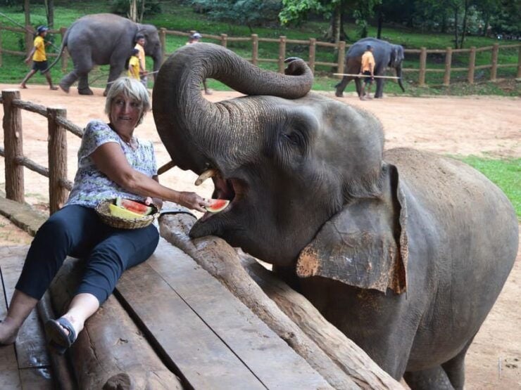 From Colombo: Kandy & Pinnawala Orphanage Short Excursions - Good To Know