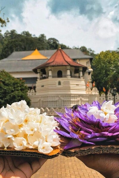 From Colombo: Kandy & Pinnawala Orphanage Short Excursions - Frequently Asked Questions