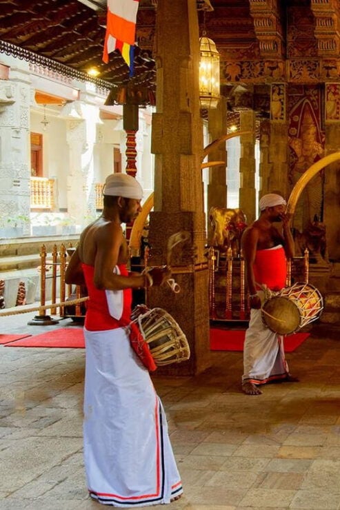 From Colombo: Kandy & Pinnawala & Tea Factory Full Day Trip - Itinerary Highlights