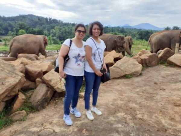From Colombo: Kandy & Pinnawala & Tea Factory Full Day Trip - Important Travel Information