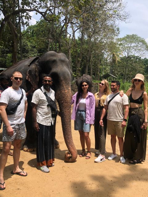 From Colombo: Kandy Private Full-Day Tour - Tour Highlights