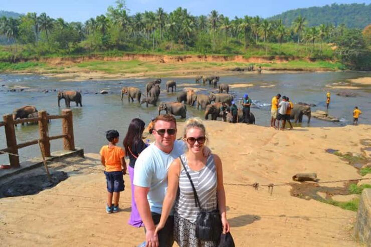 From Colombo: Kandy Short Excursions and Pinnawala Orphanage - Good To Know