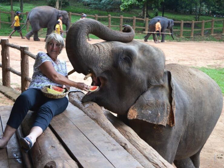 From Colombo: Kandy Short Excursions and Pinnawala Orphanage - Itinerary Breakdown