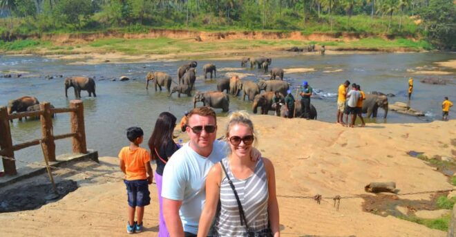 From Colombo: Kandy Short Excursions and Pinnawala Orphanage - Peradeniya Royal Botanical Gardens