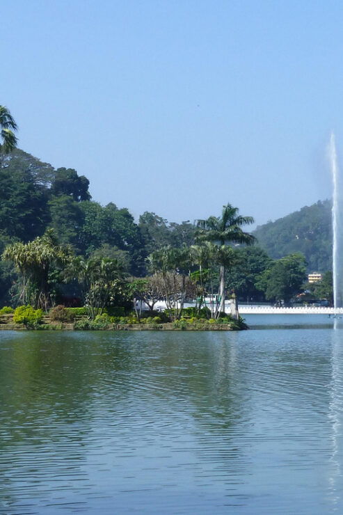 From Colombo: Kandy Temple of the Tooth & Botanical Gardens… - Itinerary Details