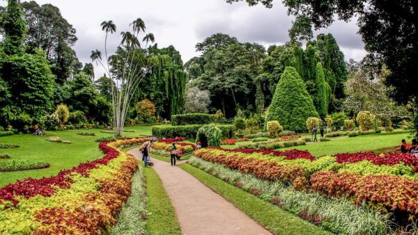 From Colombo: Kandy Temple of the Tooth & Botanical Gardens… - Booking and Pricing Information