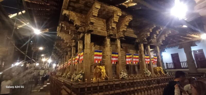 From Colombo: Kandy Temple of Tooth & Elephant Orphanage - Authentic Experiences and Insights from Reviews