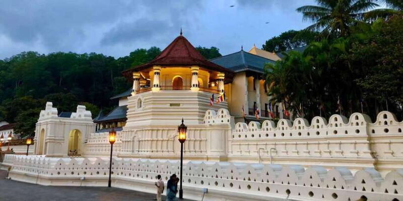 From Colombo: Kandy Temple of Tooth & Elephant Orphanage - Who Will Benefit Most from This Tour?
