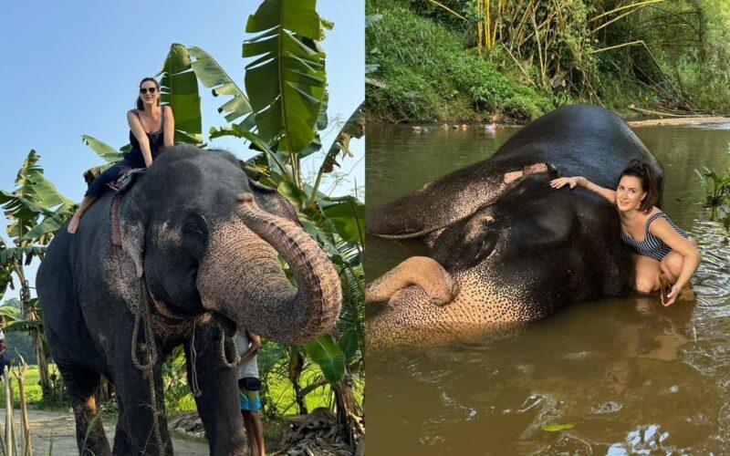 From Colombo: Kandy Temple of Tooth & Elephant Orphanage - Good To Know