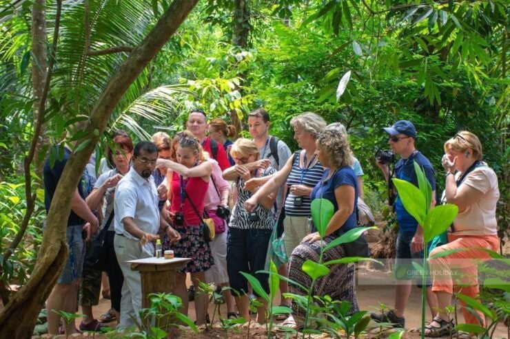 From Colombo/Negombo : Bentota & Galle Day Trip - Highlights