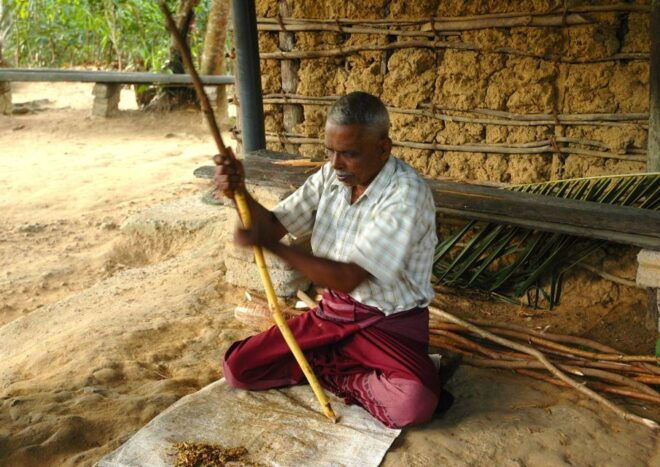 From Colombo/Negombo : Bentota & Galle Day Trip - Location and Related Activities
