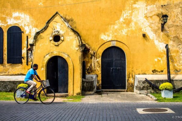 From Colombo/Negombo : Bentota & Galle Day Trip - The Sum Up