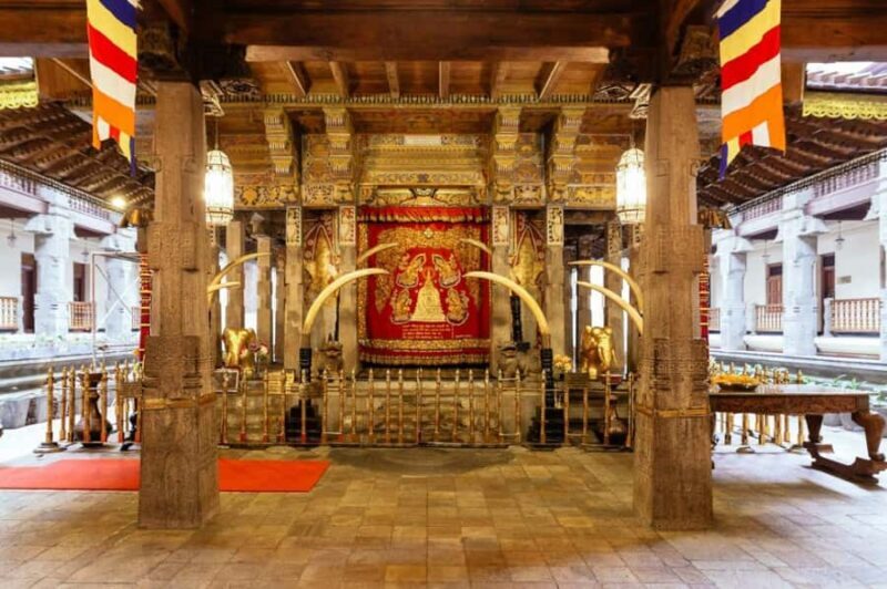 From Colombo & Negombo: Elephant Orphange and Kandy day Trip - A Deep Dive into the Experience