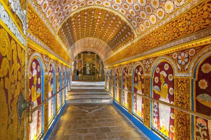 From Colombo & Negombo: Elephant Orphange and Kandy day Trip - The Sum Up