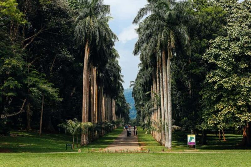 From Colombo & Negombo: Elephant Orphange and Kandy day Trip - FAQ