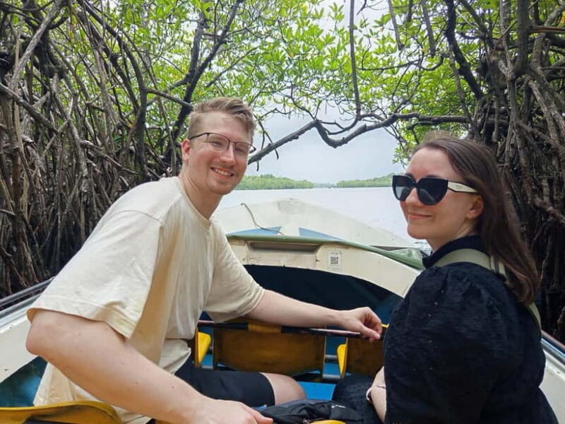 From Colombo/Negombo: Galle, Madu River, and Turtle Hatchery - The Sum Up