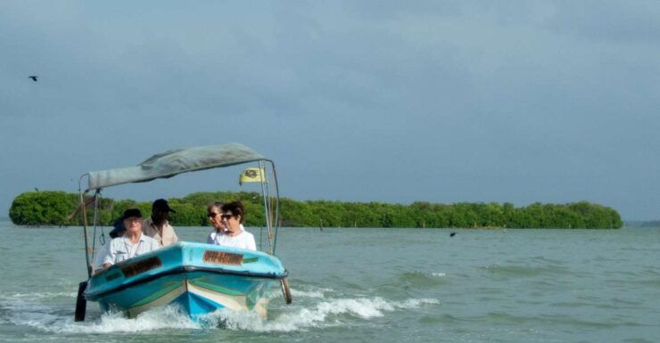 From Colombo: Negombo Lagoon (Mangrove )Boat Excursion - Booking Details for the Excursion