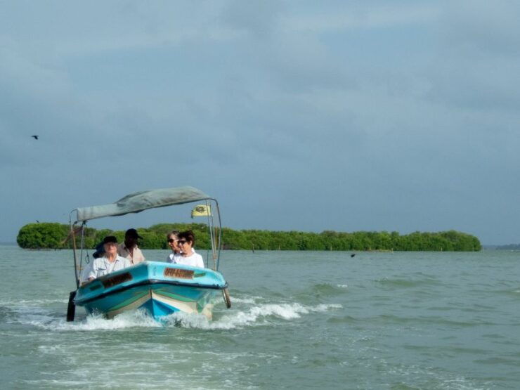 From Colombo: Negombo Lagoon (Mangrove )Boat Excursion - Highlights of Negombo Lagoon Boat Trip