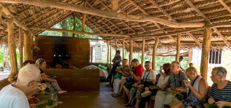 From Colombo/Negombo to Sigiriya, Dambulla Day Trip & Safari - General Information
