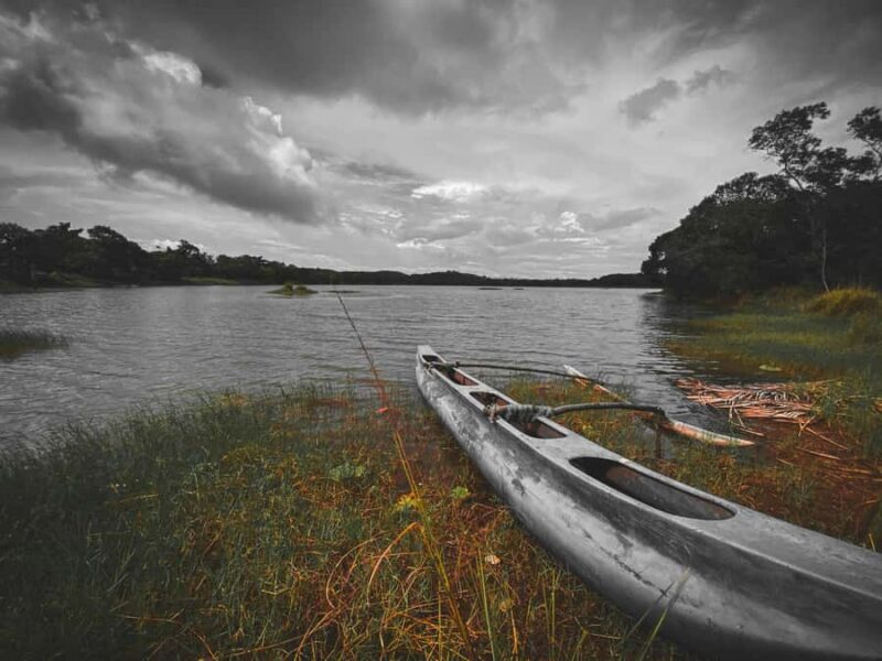 From Colombo or Kandy: Sigiriya Rock Fortress Day Tour - Final Thoughts