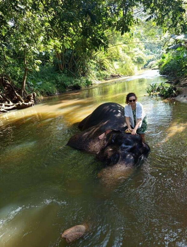 From Colombo or Negombo: Pinnawala, Kandy & Tea Factory Tour - Good To Know