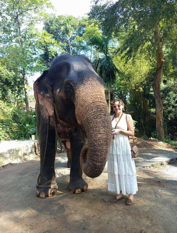 From Colombo or Negombo: Pinnawala, Kandy & Tea Factory Tour - A Detailed Look at the Tour Experience