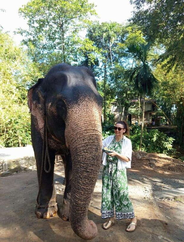 From Colombo or Negombo: Pinnawala, Kandy & Tea Factory Tour - Authentic Experiences & Highlights