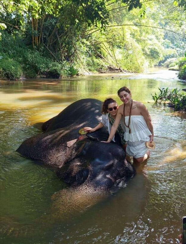 From Colombo or Negombo: Pinnawala, Kandy & Tea Factory Tour - Who Would Love This Tour?