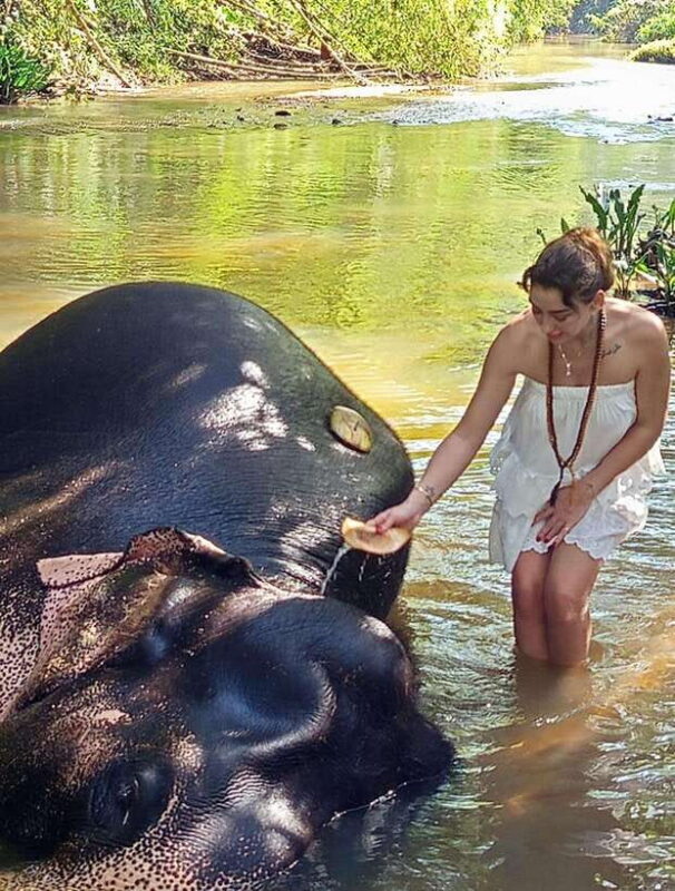 From Colombo or Negombo: Pinnawala, Kandy & Tea Factory Tour - FAQ