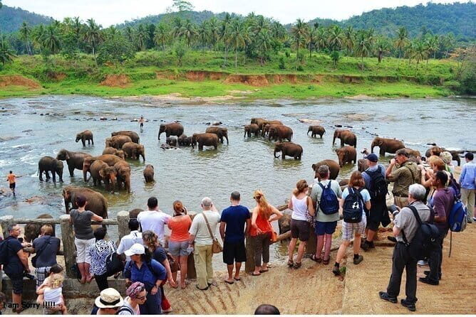 From Colombo: Overnight Tour to Kandy and Transfer to Sigiriya - Good To Know