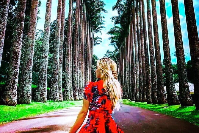 From Colombo: Overnight Tour to Kandy and Transfer to Sigiriya - Final Thoughts