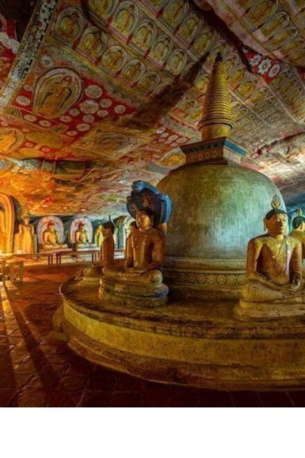 From Colombo: Overnight Tour to Kandy & Transfer to Sigiriya - Kandy City Highlights