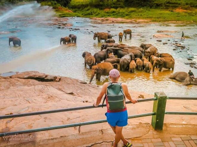 From Colombo: Pinnawala Elephant Orphanage & Kandy Day Tour - What to Bring