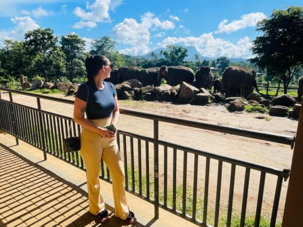 From Colombo Port : Shore Excursions Pinnawala - Elephant Sanctuary Highlights