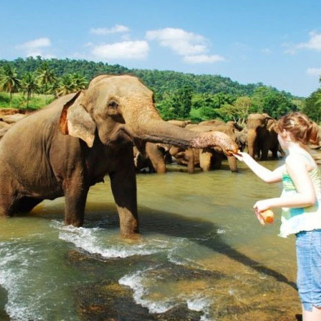 From Colombo: Private 2-Day Sri Lanka Highlights Trip - Small Group Limit and Cancellation Policy