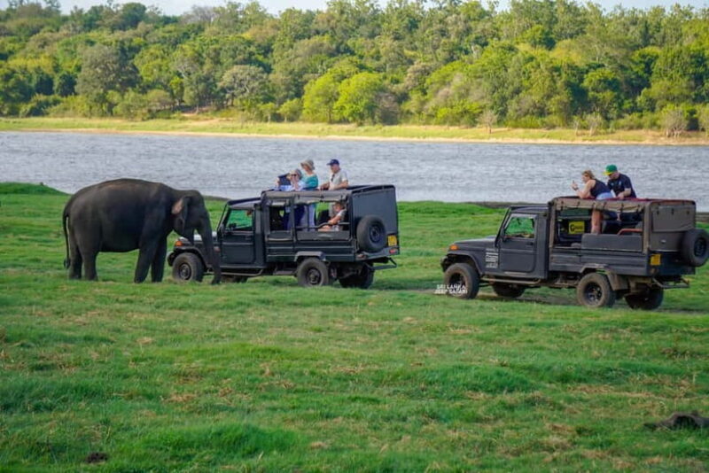 From Colombo: Private 2-Day Trip Dambulla, Sigiriya & Safari - Who Would Love This Tour